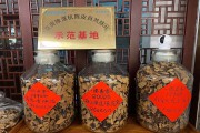 仓库除湿机在陈皮储存过程中的应用